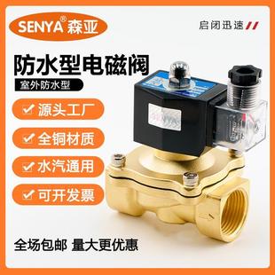 24V 4分室外专用防水电磁阀水阀 1寸220V 气阀 12V 6分防雾电磁阀