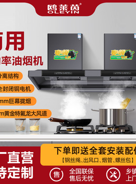 商用油烟机大功率吸烟机农村土灶柴火灶用大尺寸饭店抽油烟机