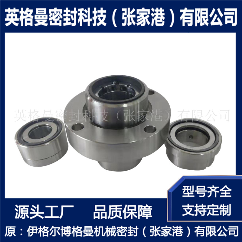 压力筛机械密封 LP-D-SA-D31H5/120-DE1机械密封 厂家直供