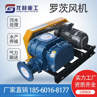 三叶罗茨风机3kw反洗曝气增氧机污水输送负压真空泵鼓风机厂家