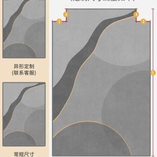 入户门地垫大门进门脚垫家用高端轻奢客厅室内玄关地毯耐脏可裁剪