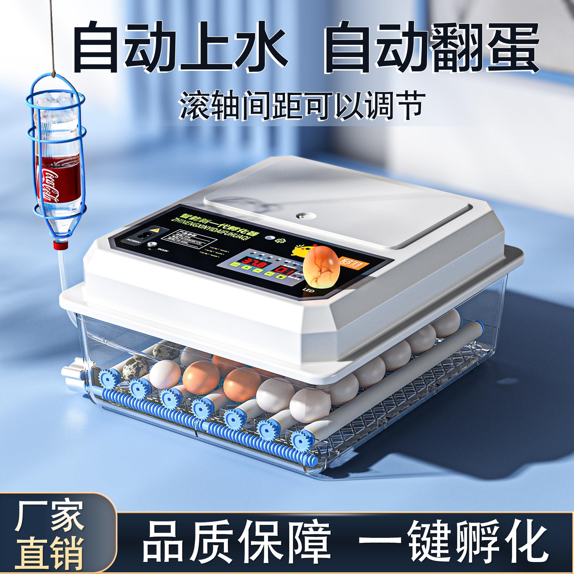 迷你鸡鸭鹅鸽子孵蛋机孵化器全自动家用智能小型孵化机孵蛋器鹦鹉