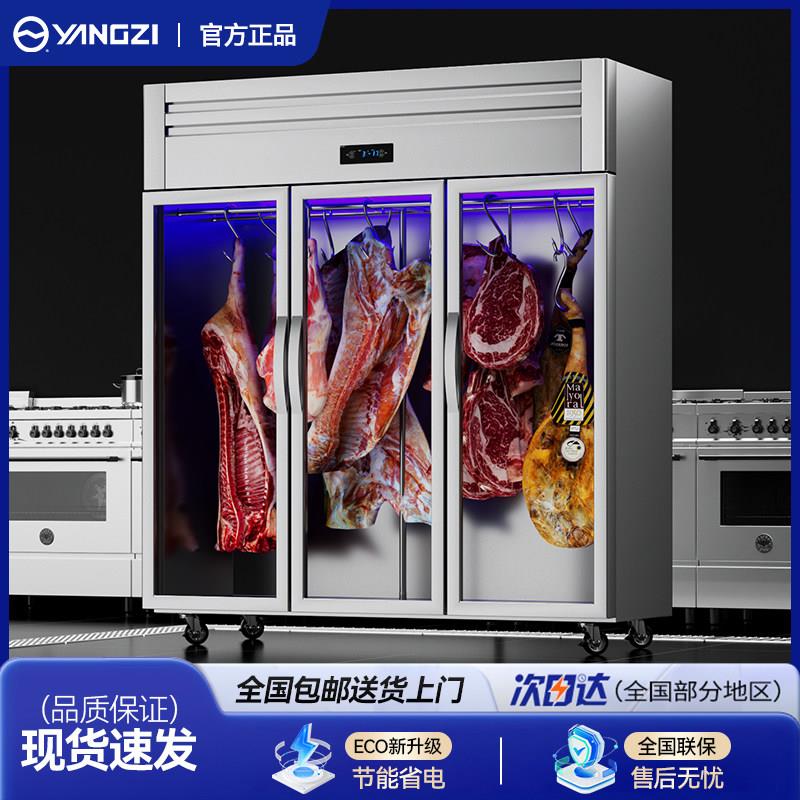 扬子挂肉柜商用冷冻冷藏保鲜冰柜挂急冻肉柜吊肉柜立式牛肉排酸柜