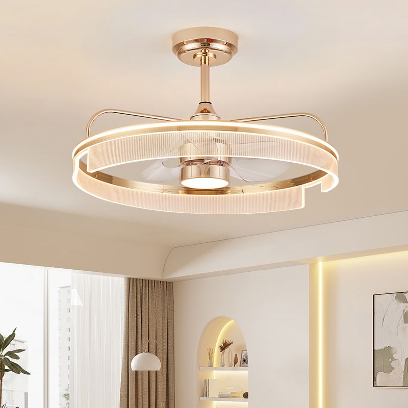 风扇灯客厅2024新款轻奢高级大气吊扇灯家用饭厅房间吸顶一体吊灯