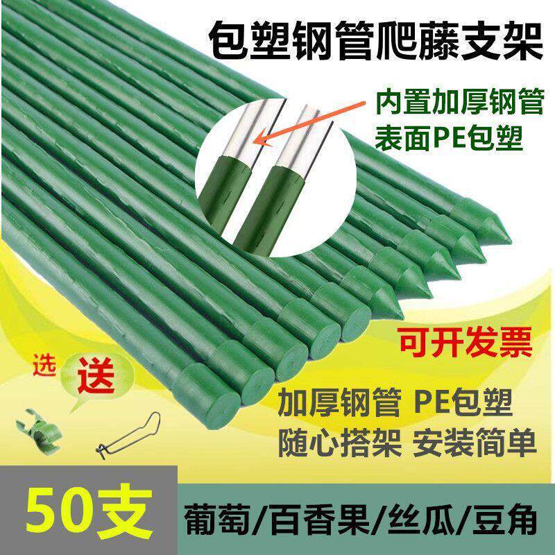 爬藤植物架子花架园艺支架包塑钢管支撑杆葡萄豆角番茄庭院支撑杆