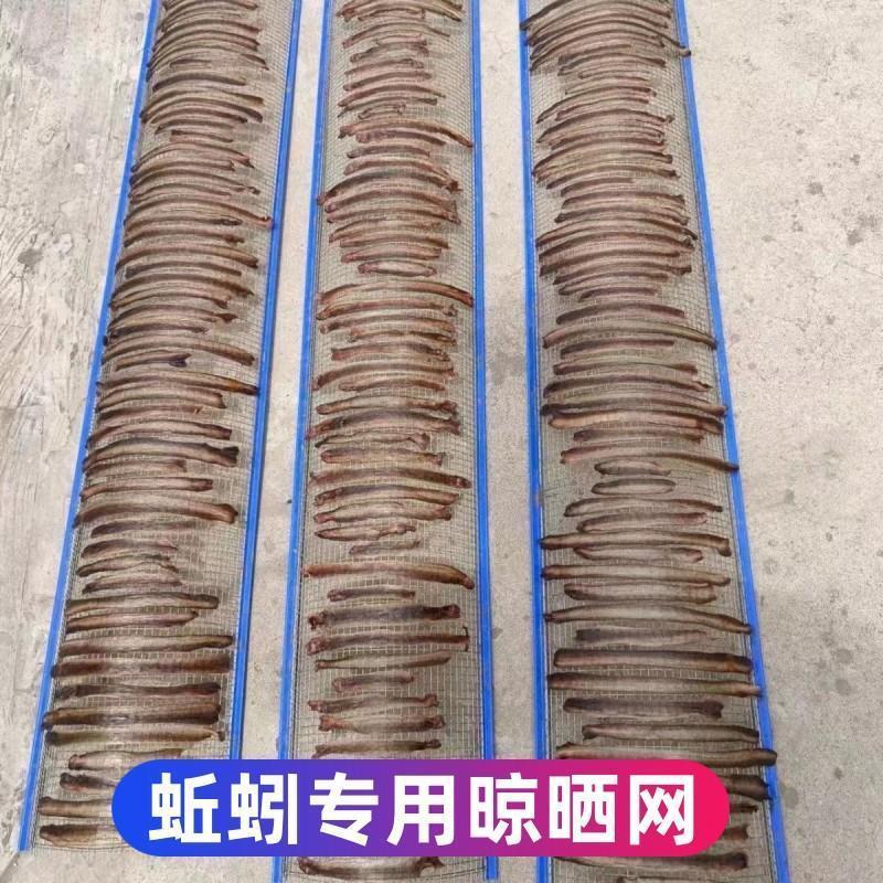 蚯蚓晾晒网镀锌网我想买专用加厚镀锌铁丝压边不脱丝网片加工耐用