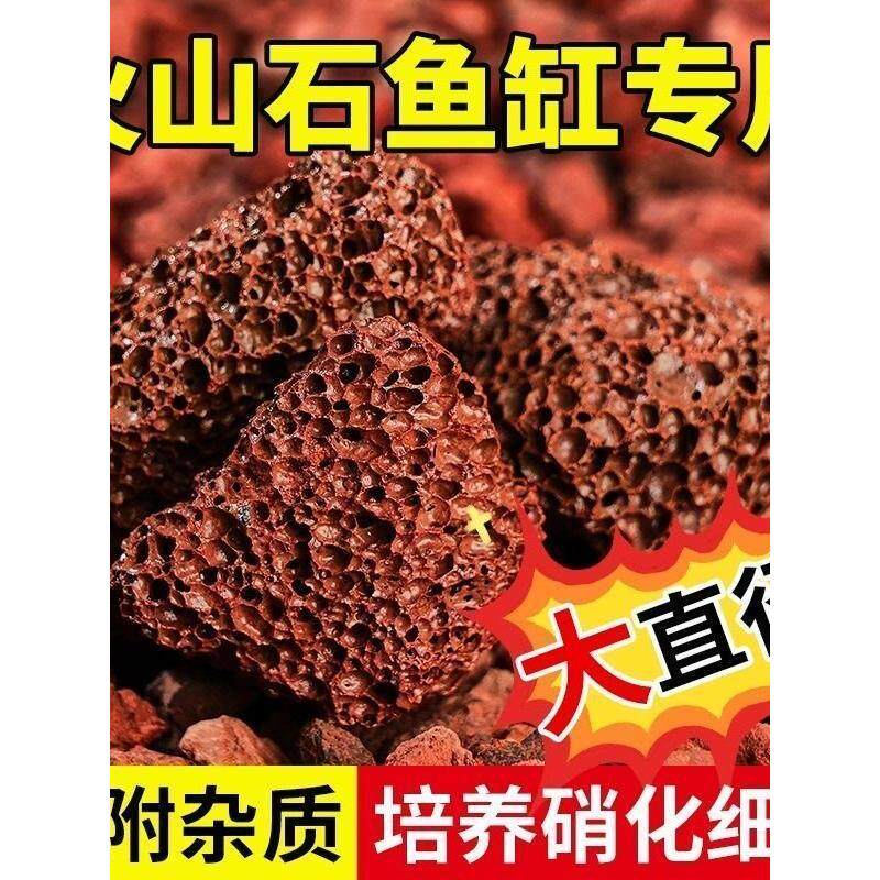 火山石颗粒火山岩多肉兰花盆栽铺面大块原石鱼缸造景铺底专用