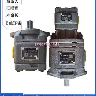 VPC油泵 01R 16HG1 海特克内啮合齿轮泵HG0