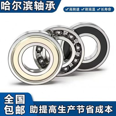 哈尔滨高速轴承6315 6316 6317 6318 6319 6320 6322 6324 ZZ 2RZ