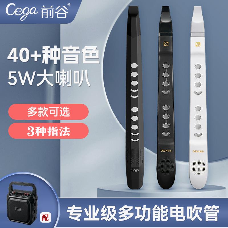前谷cega电子吹管初学迷你笛子专业演奏级乐器大全初学入门萨克斯