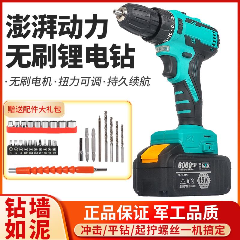 瑞仕大艺手电钻充电式电动锂电池无刷家用迷你冲击钻头配件大功率