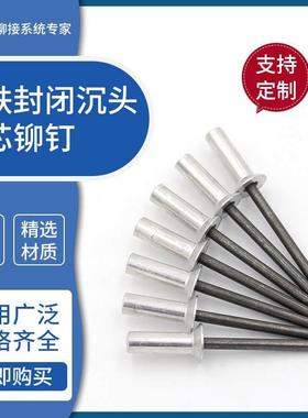 铝铁封闭型抽芯拉铆钉埋头3.2/4/4.8/5 GB12616防水钉密封式沉头