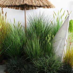 仿真芦苇蒲草丛造景干花绿植盆景假花摆设橱窗造布景软装搭配盆栽