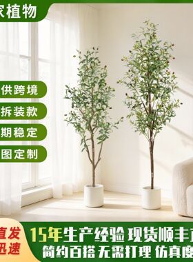 仿真植物橄榄树盆栽家居客厅室内落地大型绿植橱窗商场装饰假树