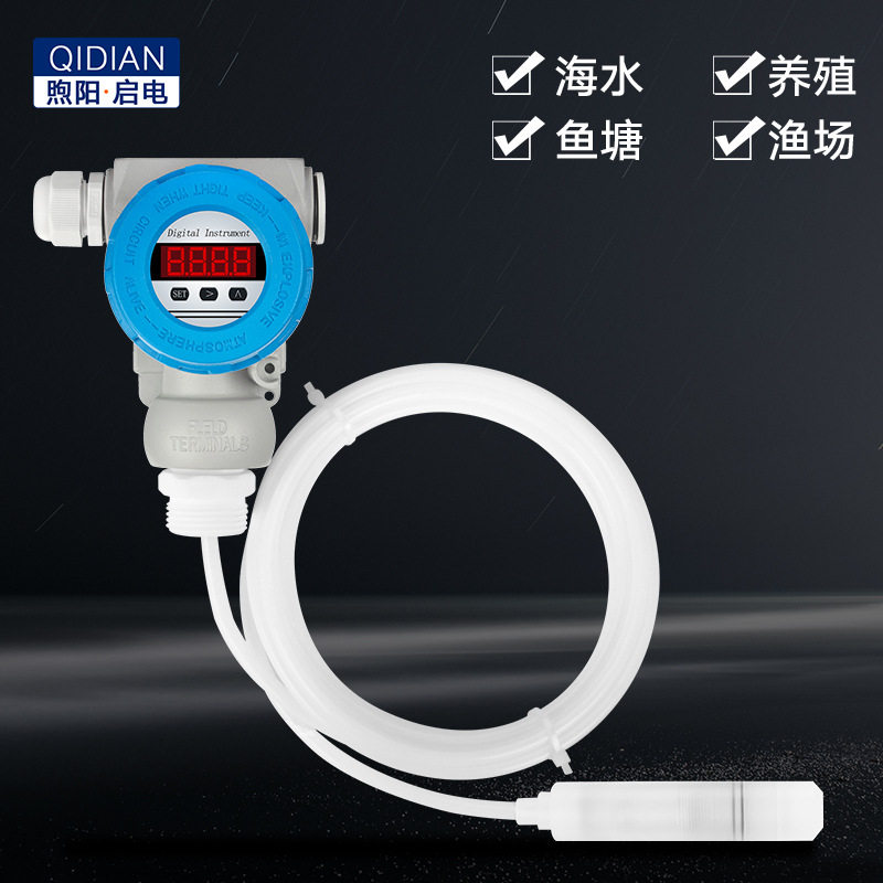 投入式四氟防腐液位变送器耐磨腐蚀高温水位计传感器rs485 4-20mA