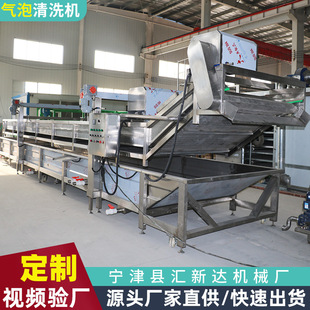 全自动大型洗菜机草莓快速清洗机果蔬食品加工流水线气泡清洗机