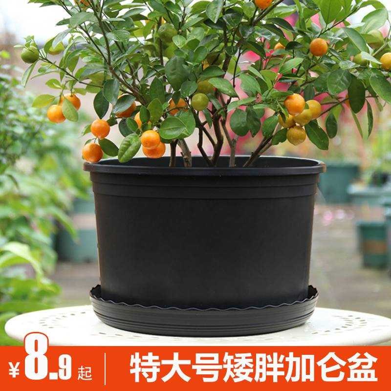 定制花盆大口径3k0以上的塑料加厚耐用大号特大号加仑绿萝月季专