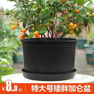 定制花盆大口径3k0以上 专 塑料加厚耐用大号特大号加仑绿萝月季