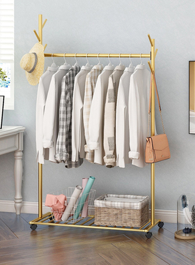 轻奢挂衣架落地卧室网红衣帽架门口置物简易衣服架子家用可移动