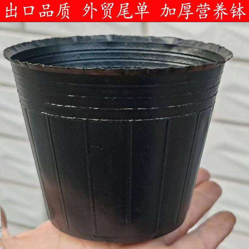 营养钵花盆树苗塑料加厚育苗杯营养杯防老化优质塑料育苗盆黑大号