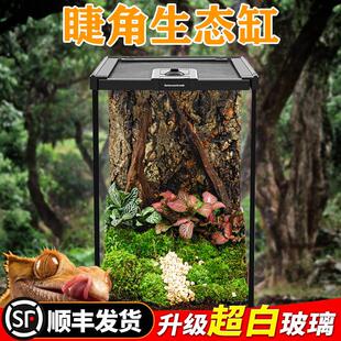雨林缸BG超白玻璃树栖睫角饲养箱爬宠爬虫饲养生态造景宠物树蛙蛇