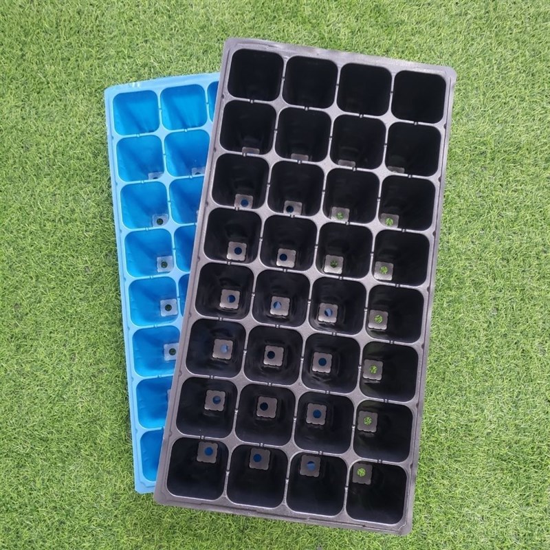 32孔高脚育苗穴盘草莓林木高脚 育苗盘32孔蓝色白色高脚苗盘包邮