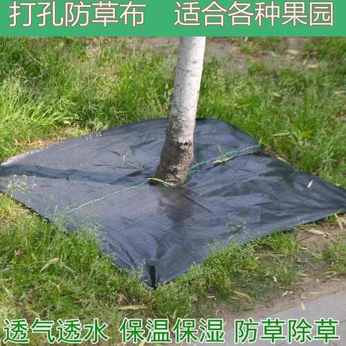 防草布打孔切片除草布抗老化果园果树遮草盖草布农用园艺地布地膜
