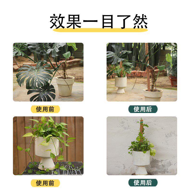 龟背竹支撑杆植物攀爬棕榈柱椰丝棒绿萝爬藤支架固定椰棕棒花架