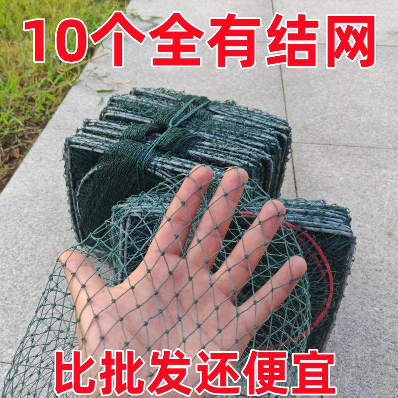 10个有结网)虾笼有结网渔网养殖小龙虾网捕大留小逮龙虾螃蟹网笼