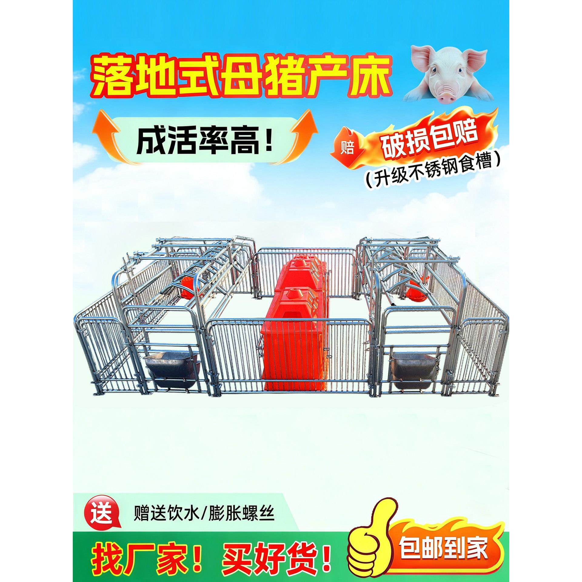 落地式母猪产床保育床一体产保两用床养殖设备猪用产保单体分娩床