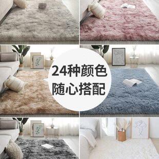 地毯卧室ins风客厅茶几床边少女房间沙发长毛绒纯色拍照地垫全铺