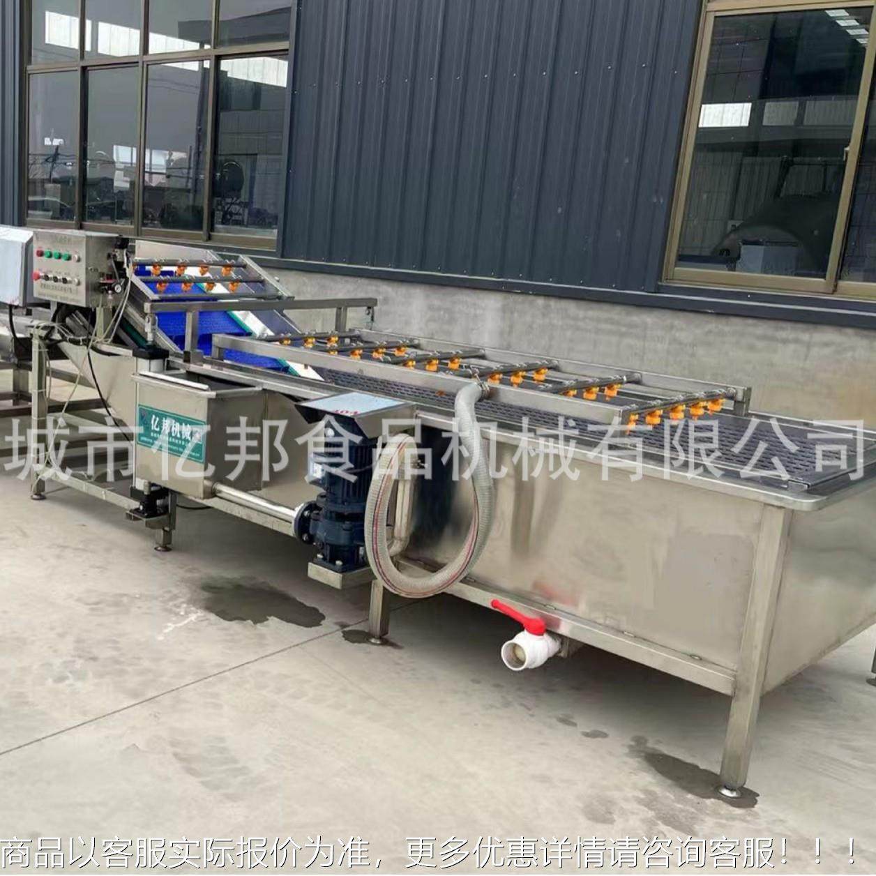 西梅气泡续清洗机 蓝莓MJK连鼓式清洗流水 厂家供应线 泡喷淋清洗