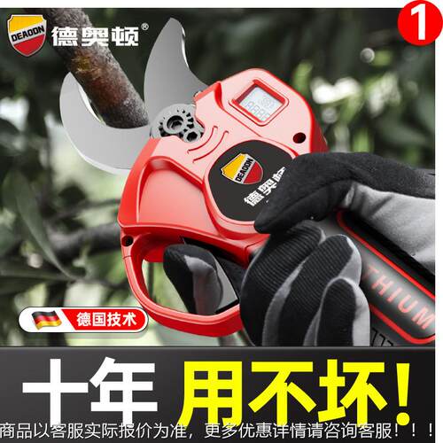 剪树枝用剪刀专修枝剪园林果粗枝省力树大剪刀s5k强力花RNW艺园艺
