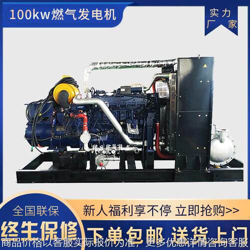 厂家供应100kw燃气发电机组 100千瓦天然气沼气发电机 沼气机