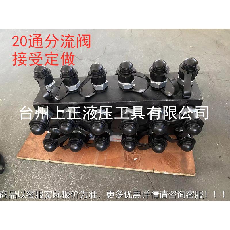 博器鑫MSL电 动液压泵 二十通分流 1进2阀0出分配控制流速 一拖二