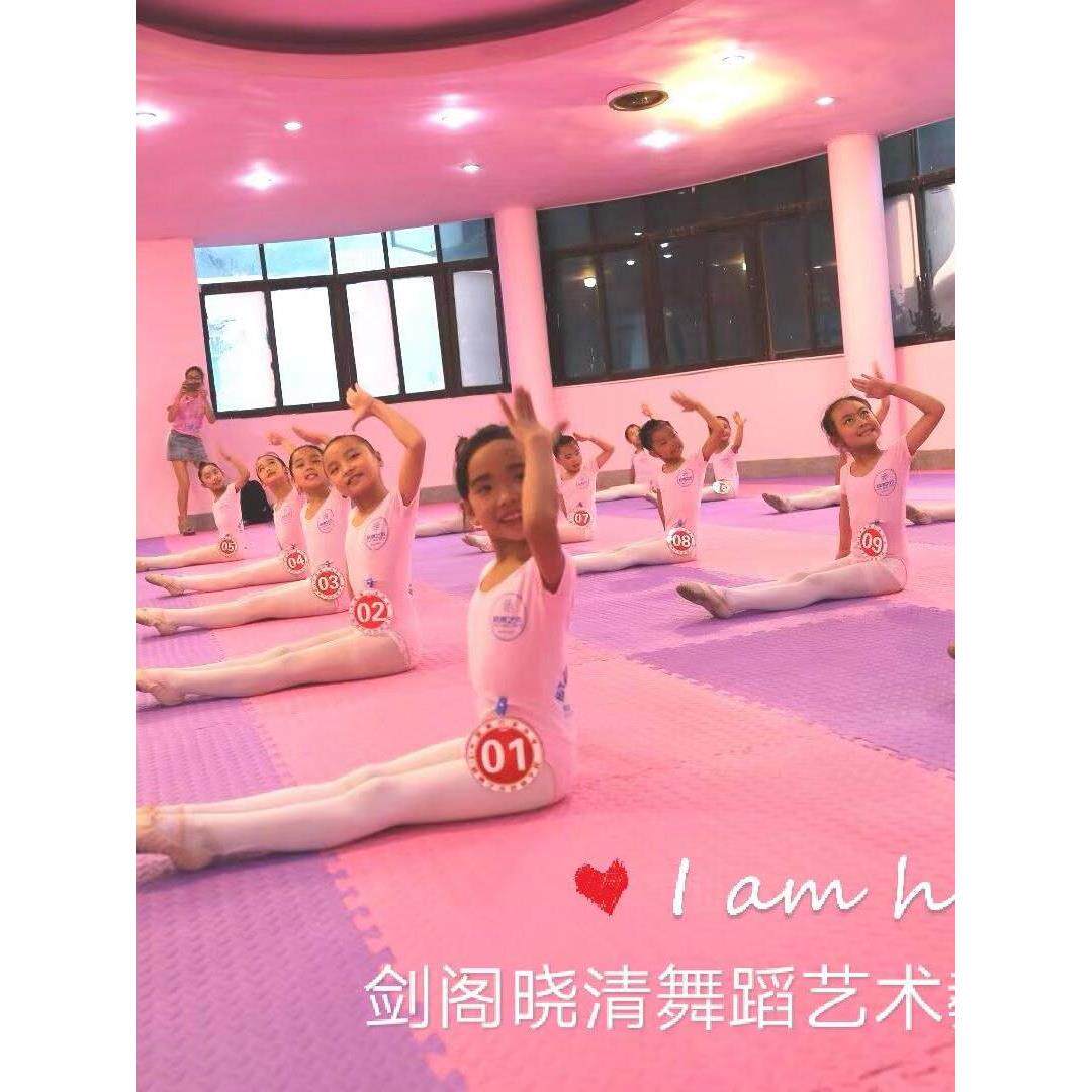 儿童练舞房泡沫地垫子100x100 幼儿园跆拳道馆铺地板舞蹈垫加大号
