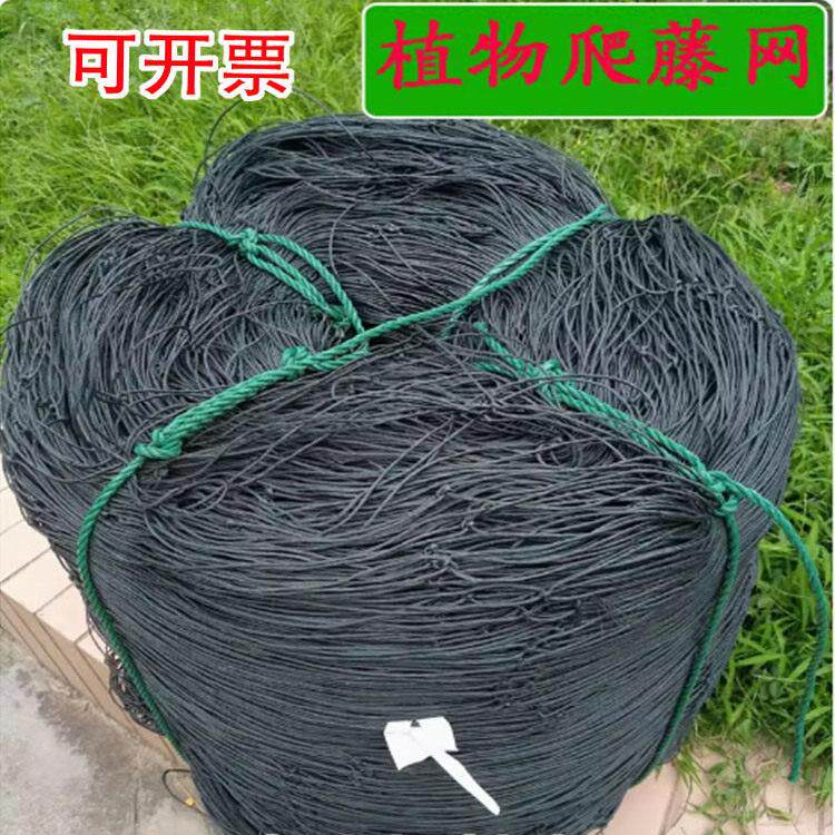 百香果专用爬藤网苦瓜罗汉果黄瓜丝瓜葡萄沃柑瓜果种植豆角蔬菜网