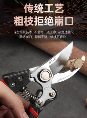 强力SK5修剪树枝剪刀修剪果树枝花枝专用园艺剪刀粗枝嫁接工具剪