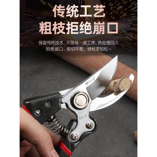 强力SK5修剪树枝剪刀修剪果树枝花枝专用园艺剪刀粗枝嫁接工具剪