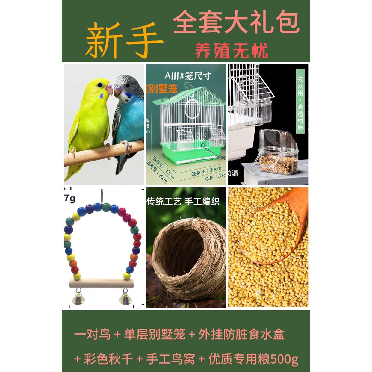 手玩鹦鹉新手大礼包优质鹦鹉鸟笼【2只鸟+别墅笼+秋千+鸟窝+粮】