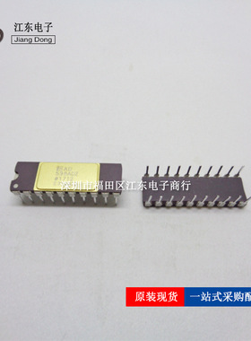 AD598ADZ AD598 专用放大器DIP-10直插IC 集成电路芯片 询价为准