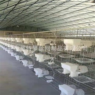 鸽笼 鸽子笼 鸽笼铁网  鸽笼16位 鸽笼S配件 养殖白鸽笼