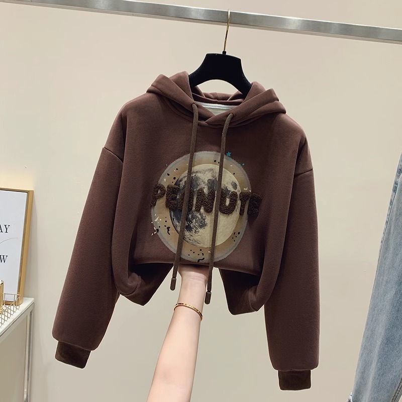 高端加绒加厚连帽卫衣女秋冬季2024新款爆款今年流行漂亮洋气上衣