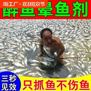 醉鱼药特效晕鱼剂k不伤鱼鱼用麻醉缺氧封氧剂醉鱼灵捕鱼抓鱼神器G