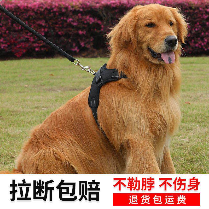 遛狗抱婴袋狗牵引绳泰迪小型犬大型犬伸缩宠物胸背2米3米反光牵狗