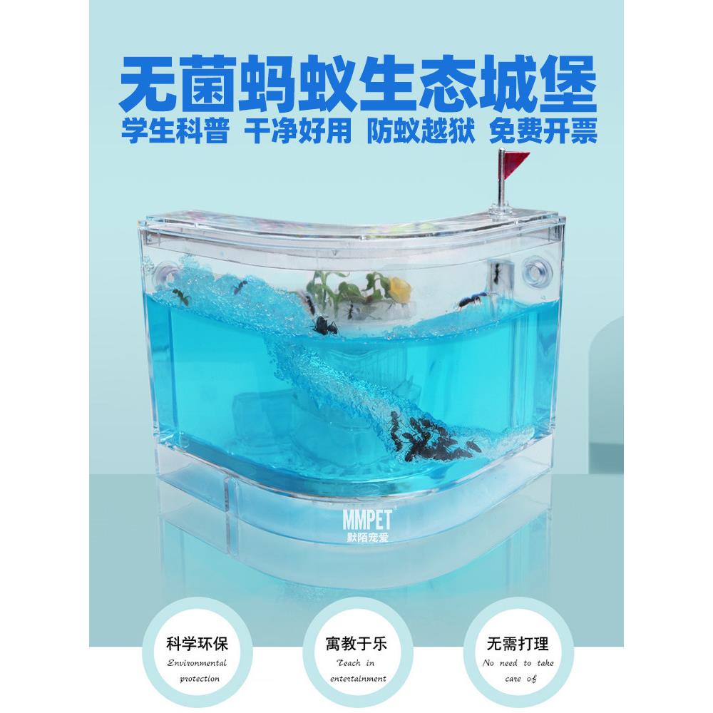 无菌蚂蚁工坊城堡学生套餐超大盒子生态箱宠物蚂蚁活体弓背蚁后