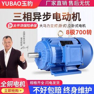 三相异步电动机国标8极1.5/2.2/3/4/5.5/7.5/11/15KW全铜380V电机