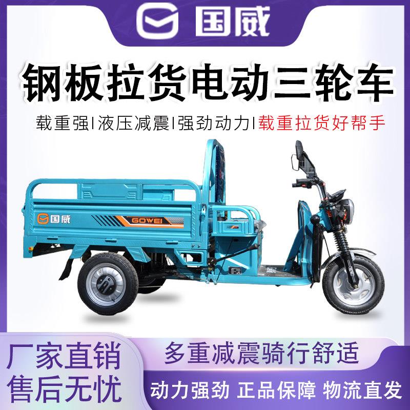 国威电动三轮车农用拉货载重王爬坡家用电瓶车大功率摆摊