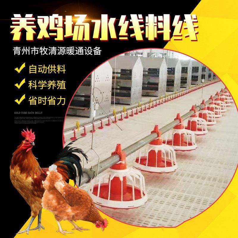 畜牧养鸡料线散养自动上料设备鸡鸭鹅平养喂料喂水线厂家