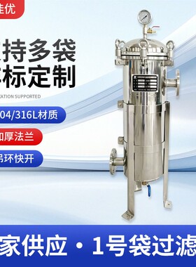 304不锈钢顶入式1号布袋式过滤器工业化工水处理固液分离过滤器